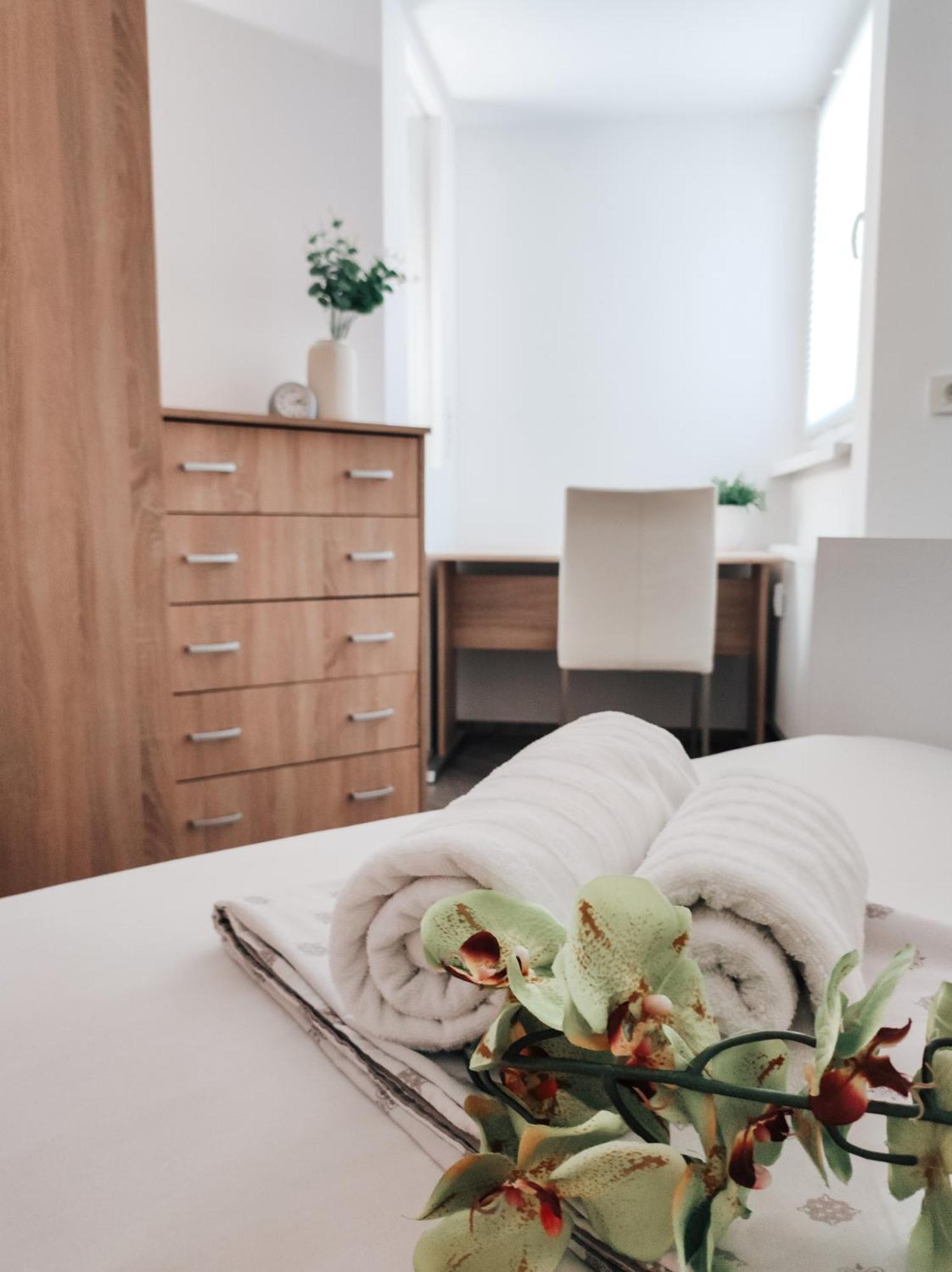 Kino Apartment *